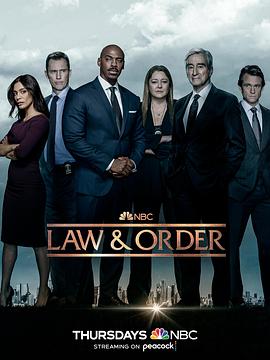 法律与秩序 第二十二季第17集