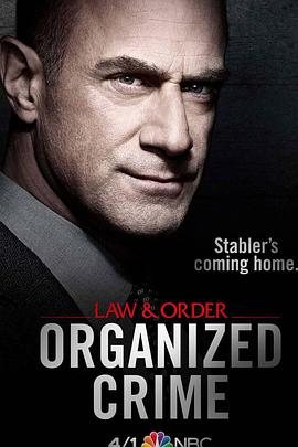 法律与秩序：组织犯罪 第一季第06集