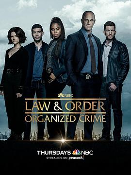 法律与秩序·组织犯罪第三季第18集