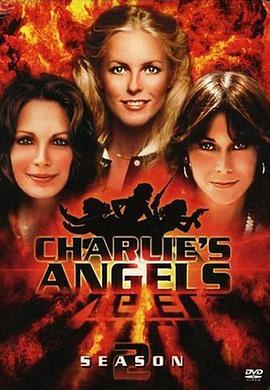 查理的天使第二季第19集